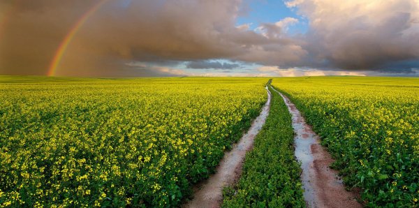 节水灌溉技术及特点分析