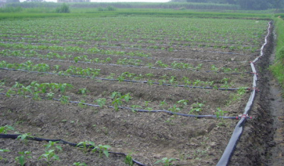 润泽节水灌溉设备