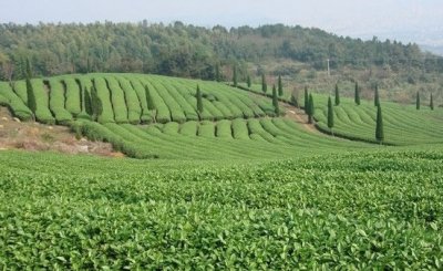 润泽节水灌溉设备