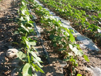 润泽节水灌溉设备