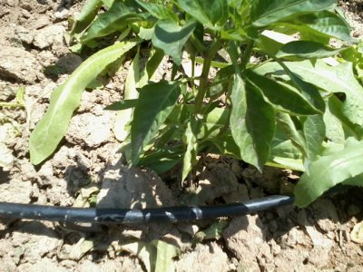 润泽节水灌溉设备