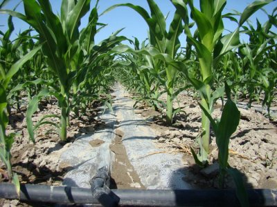 润泽节水灌溉设备