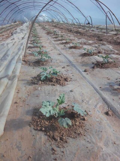 润泽节水灌溉设备