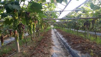 润泽节水灌溉设备